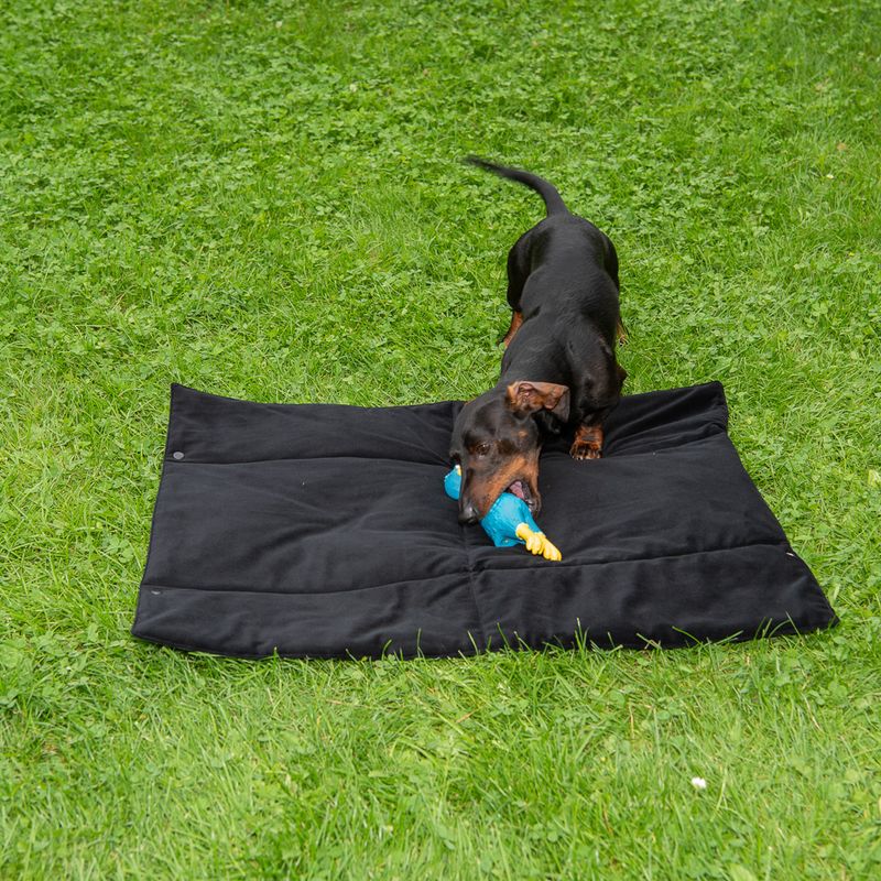 Nomad Tales Ebony Travel Dog Mat 80 x 60 cm (L x W)
