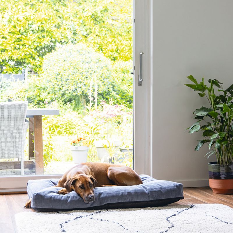 beeztees Veo Orthopaedic Cushion - Dark Grey approx. 75 x 50 x 9cm (L x W x H)