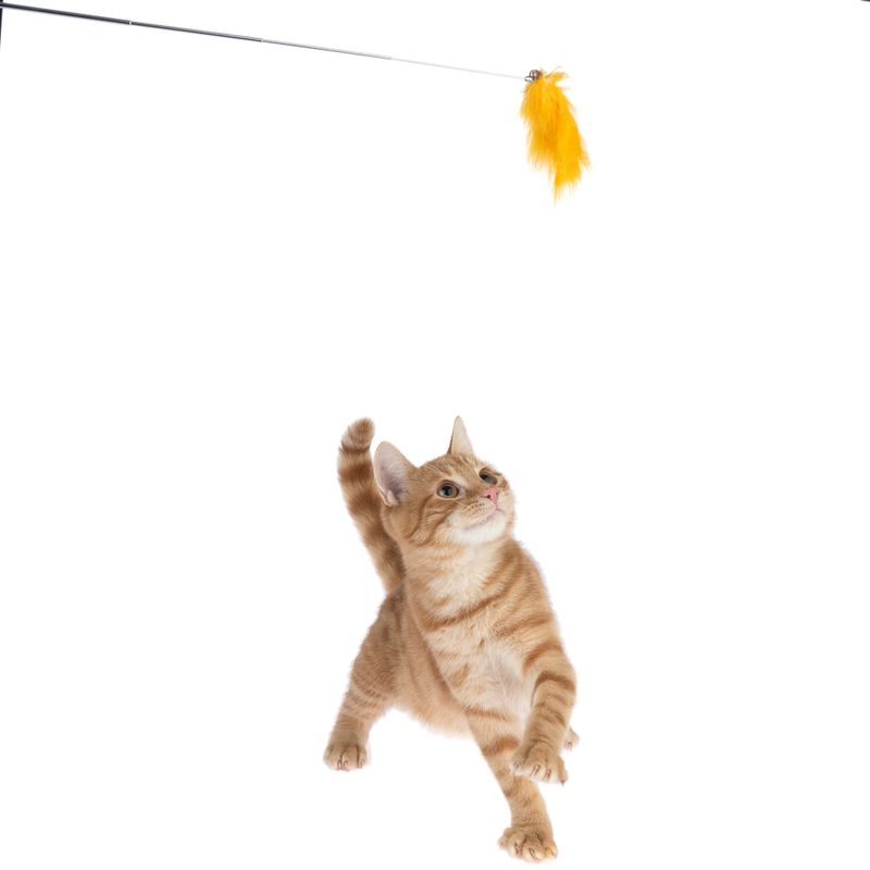 TIAKI Pompom Cat Dangler Toy with LED Pointer 1 Toy