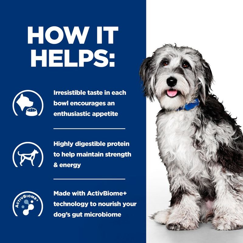 Hill's Prescription Diet On-Care with Chicken 12 x 354g