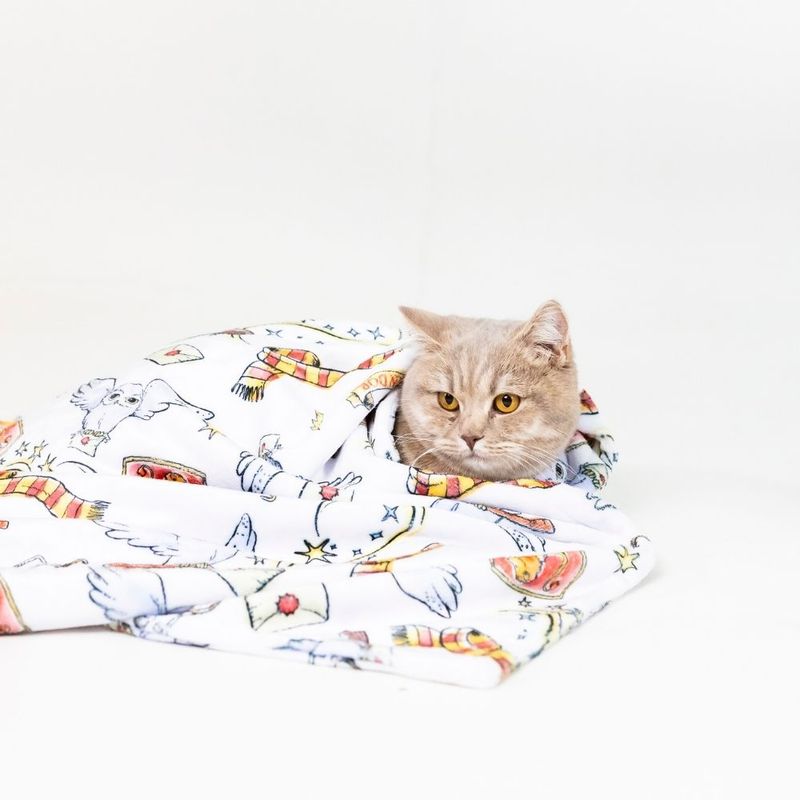 Warner Bros™ Harry Potter Hedwig Pet Blanket 100 x 70 cm (L x W)
