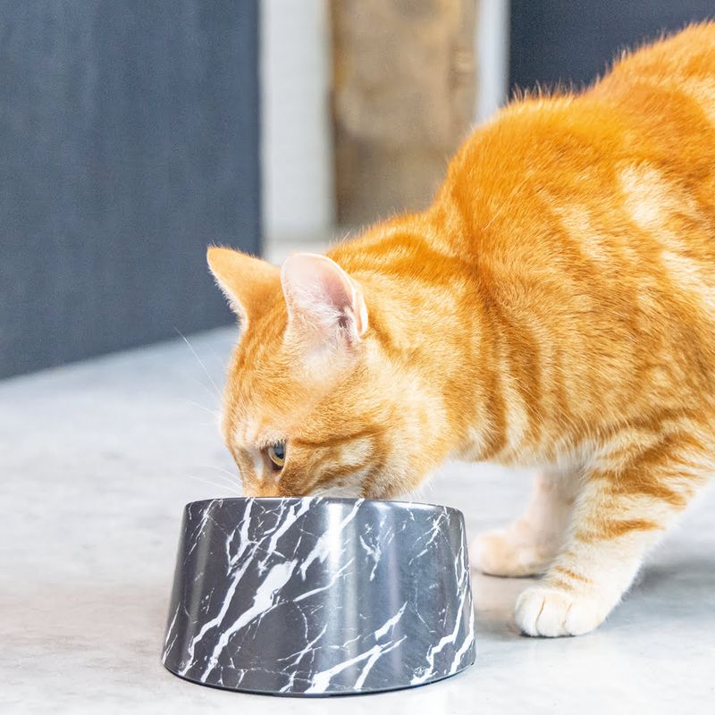 Designed by Lotte Vita Melamine Cat Bowl – Black 2 x 160ml, 13.5cm (diameter)