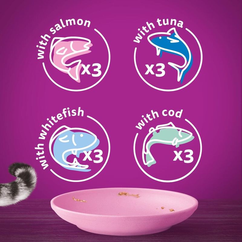 Whiskas Junior Pouches 48 x 85g Meat Selection in Gravy