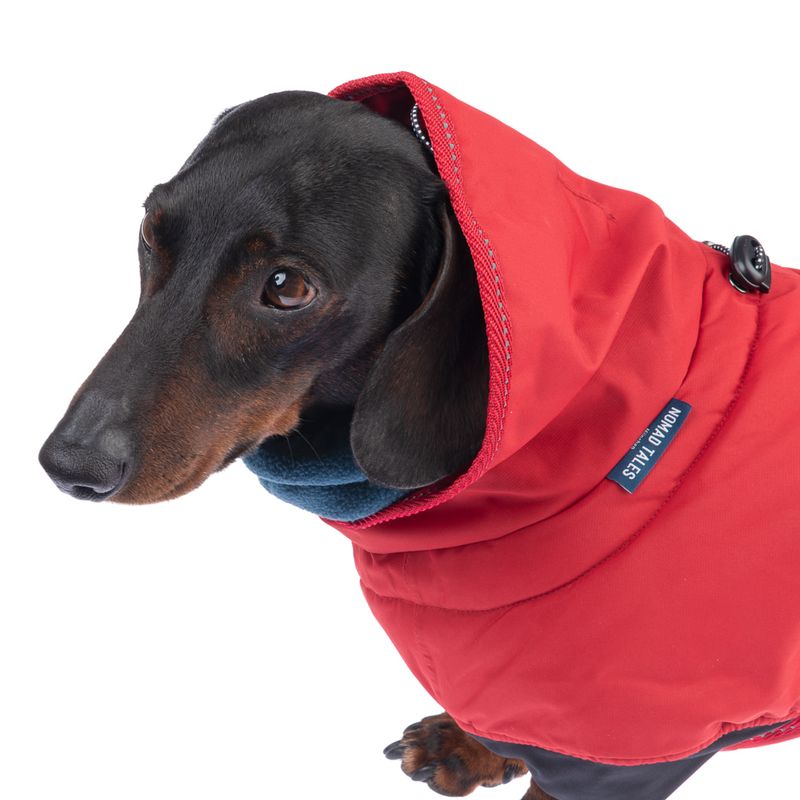 Nomad Tales Bloom Dog Coat - Sunset approx. 35cm Back Length