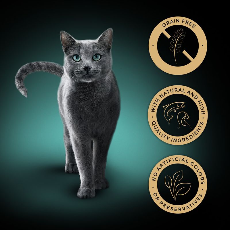 Sheba Nature's Collection in Gravy 12 x 85g Mixed Selection (Chicken, Turkey, Tuna, Salmon)