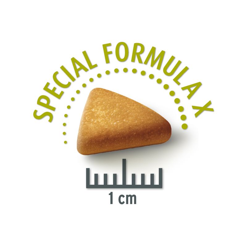 Concept for Life Economy Packs Labrador Sterilised (2 x 12kg)