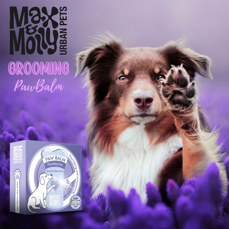 Max & Molly Pawfection Paw Balm 50g