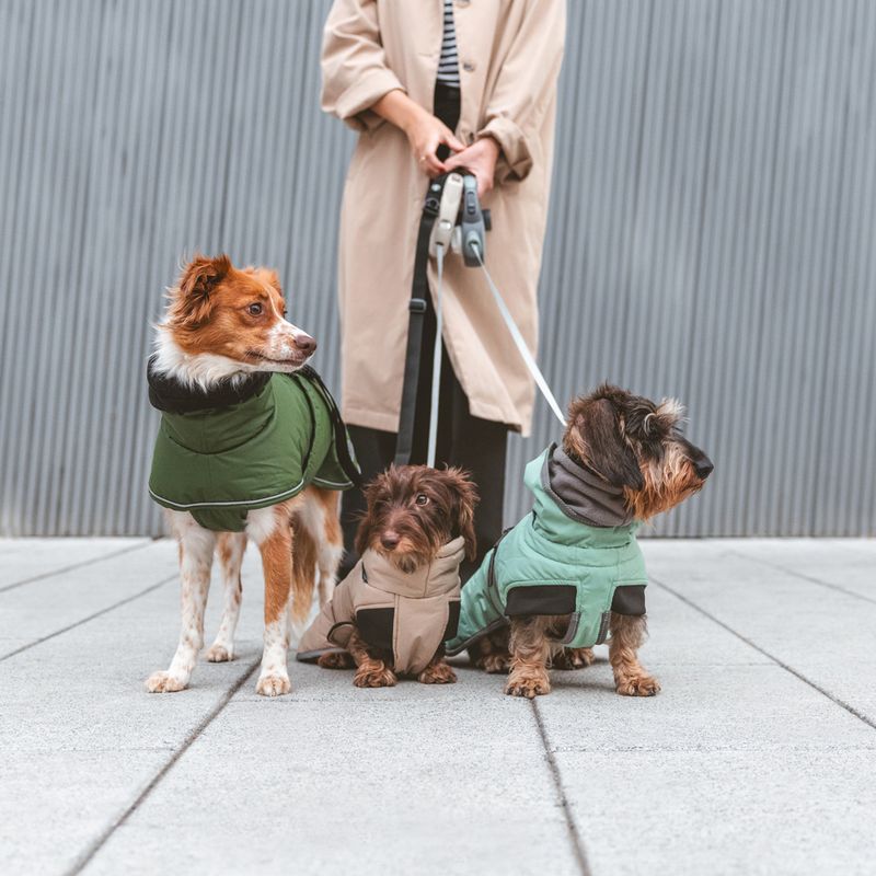 Nomad Tales Bloom Dog Coat - Classic approx. 40cm Back Length