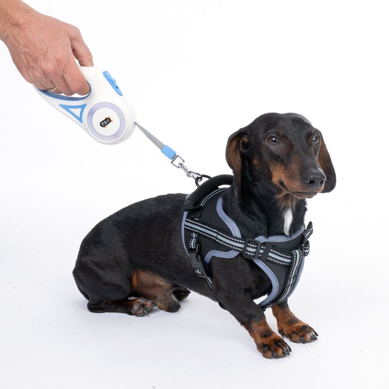 TIAKI Dragonfly Retractable Lead with Light - 3m For Dogs up to 15kg (approx. 3m)
