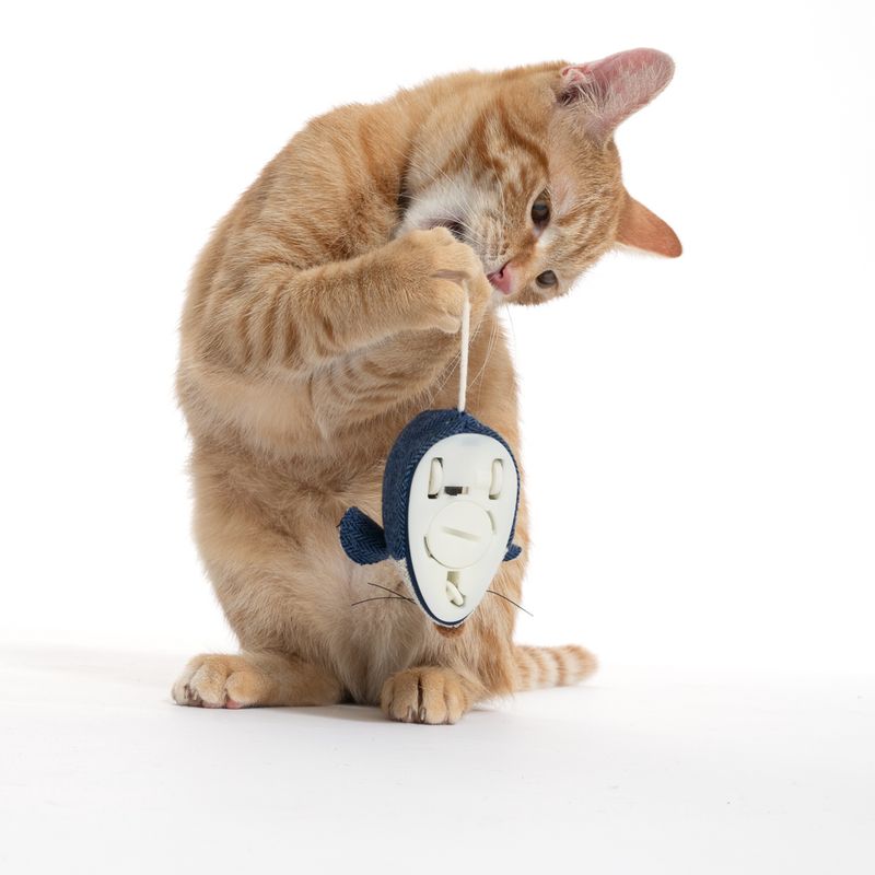 TIAKI Electronic Play Mouse for Cats 1 Toy