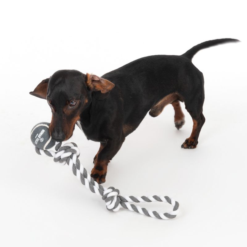 Nomad Tales Spirit Play Rope with Ball 1 Toy