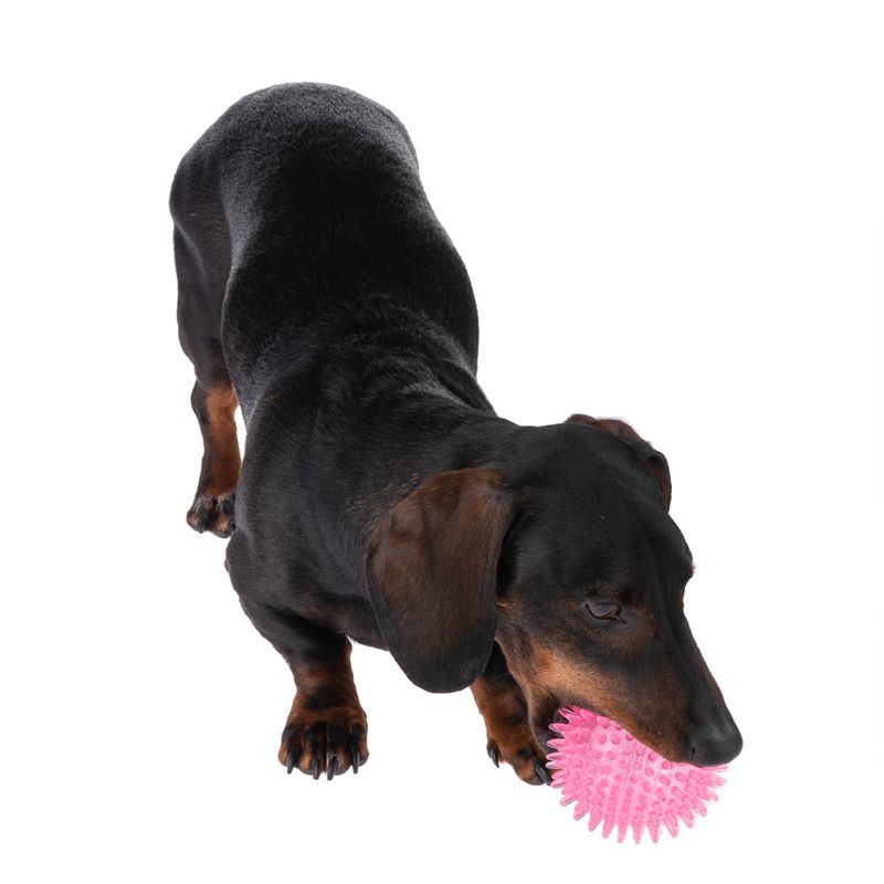 TIAKI Dog Toy Spiky Ball Ø 8,3 cm