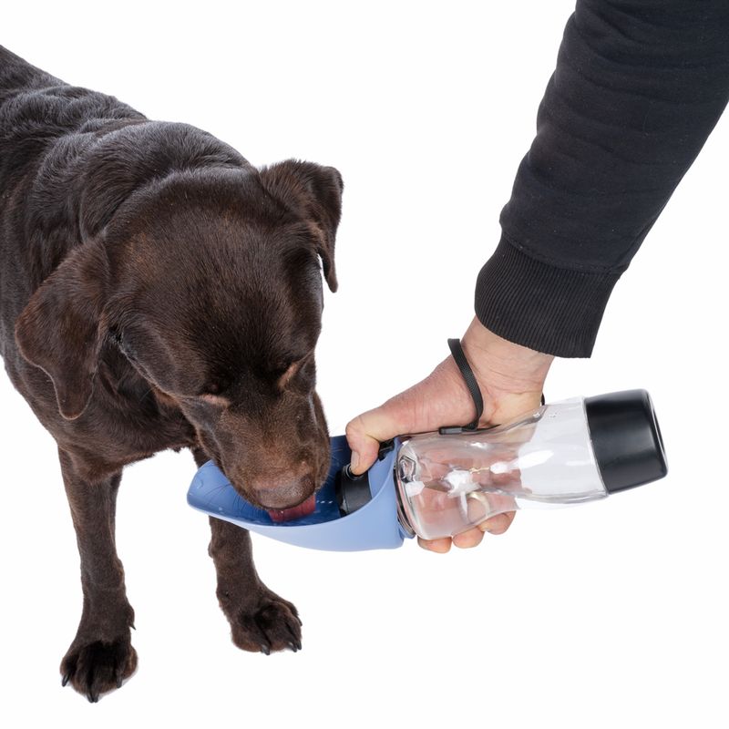 Nomad Tales Spirit 2-in-1-Travel Bottle 500ml