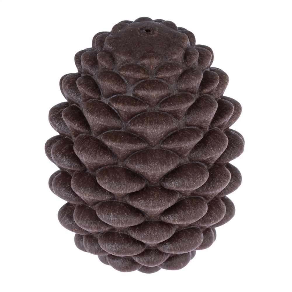 TIAKI Pine Cone Puzzle Toy 1 Toy
