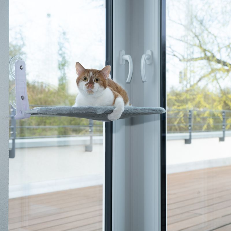 zooplus Basics Cat Window Bed 51 x 31cm (L x W)