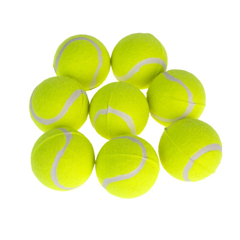 zooplus Basics Tennis Ball Set Set of 8