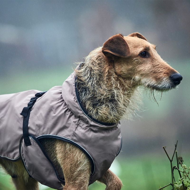 HUNTER Uppsala Dog Coat approx. 40cm Back Length