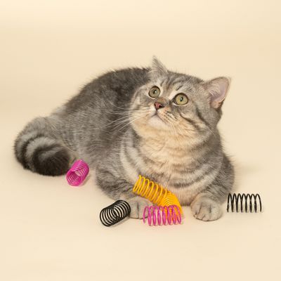 TIAKI Halloween Spiral Set 6-Pack