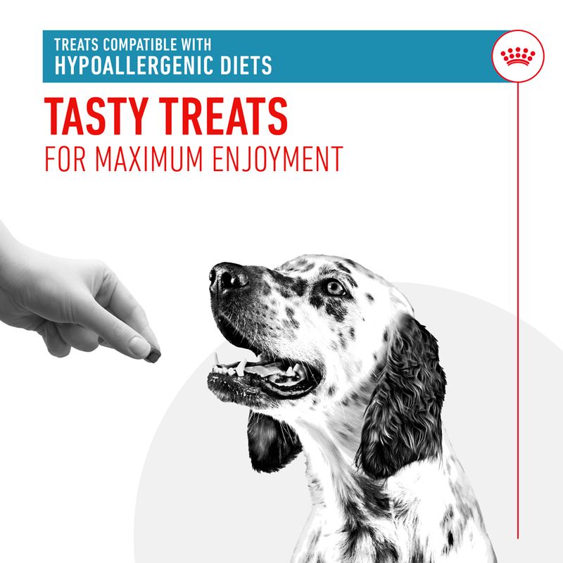 Royal Canin Hypoallergenic Treats 230g (150 pieces)