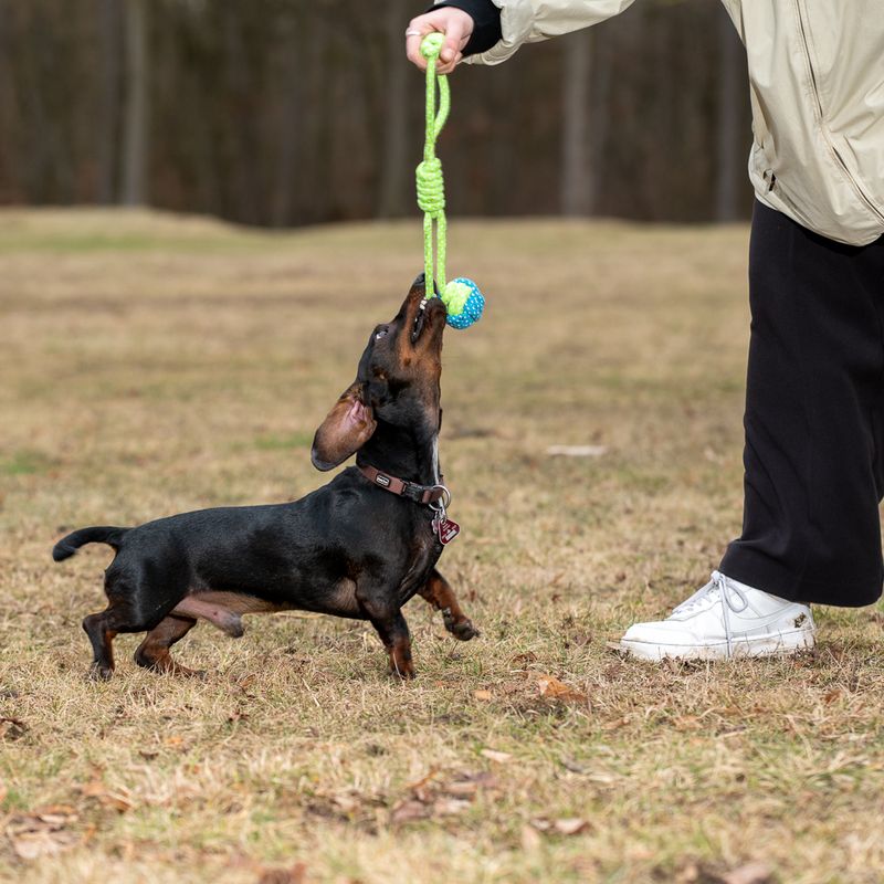 Dog toy Limoen rope & ball approx. diameter 6 x L 32 cm