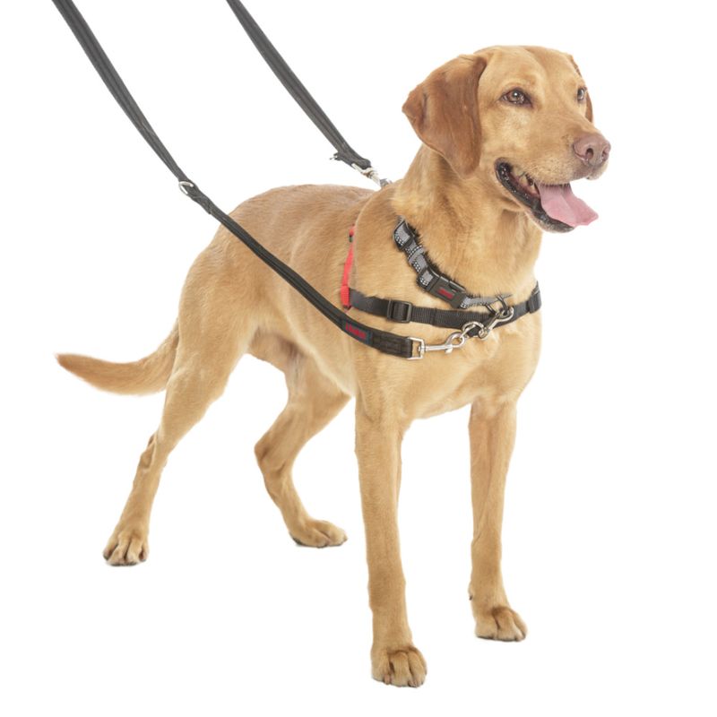 Halti Training Lead Forest Green (200 cm long, 15 mm wide)