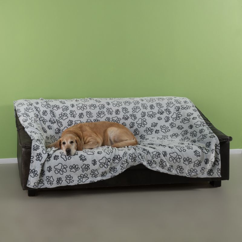 Smartpet microfibre blanket Pawzzz 100 x 75cm (L x W) (Cream/Beige)