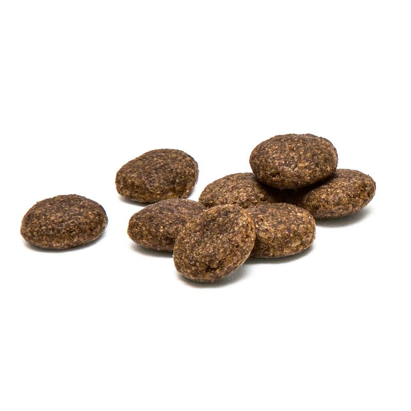 ProDen PlaqueOff Dental Bites for Cats Salmon (60g)