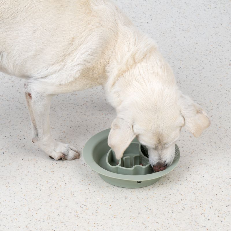 TIAKI Silicone Slow Feeder & Licking Mat 300ml