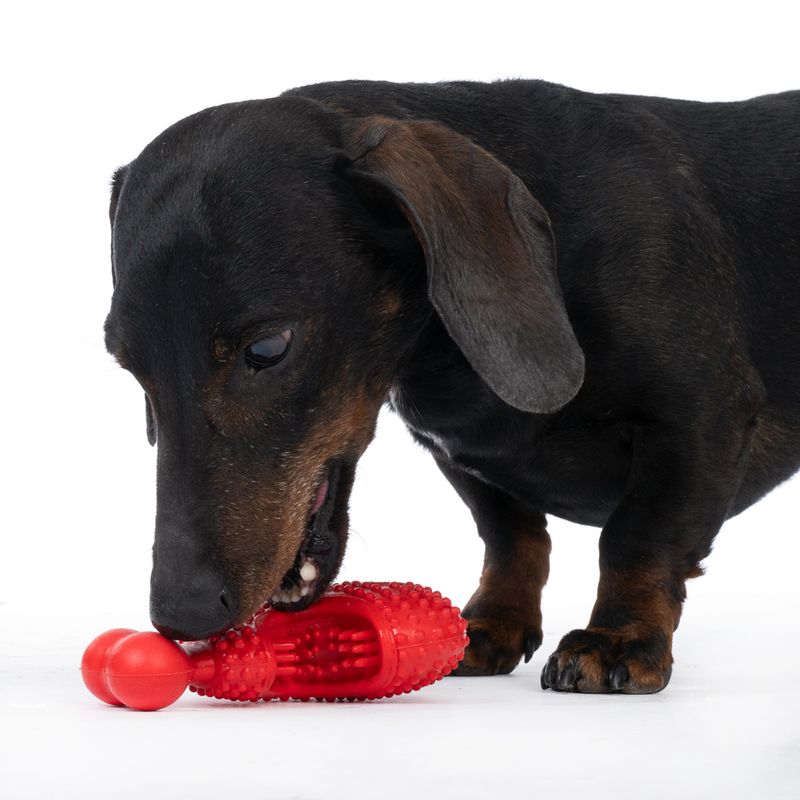 TIAKI Bone Fish Chew Toy 13 x 8 x 4 cm (L x W x H)