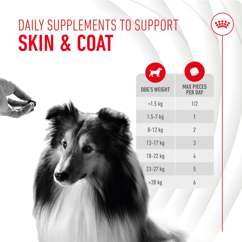 Royal Canin Skin & Coat Adult Supplement Chews 240g (60 pieces)