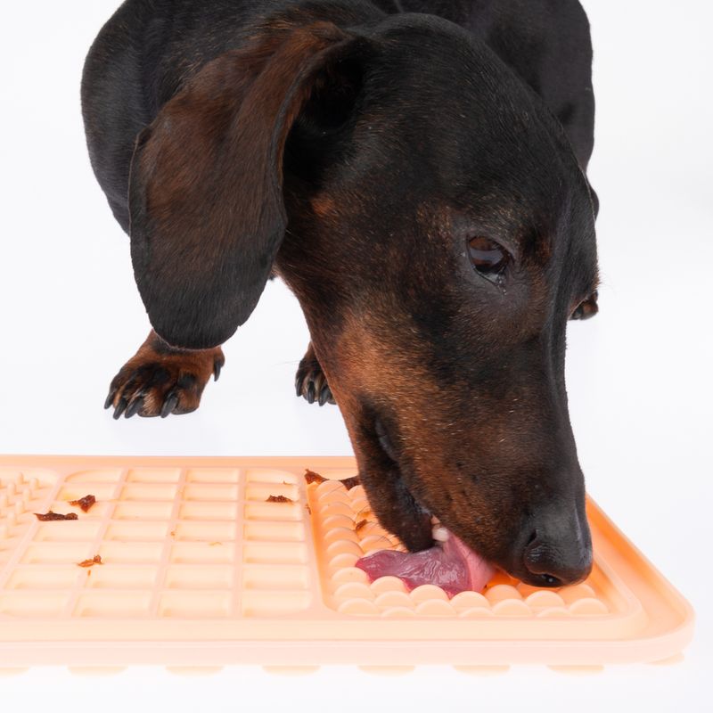 TIAKI licking mat with suction cups L 29 x W x H 18 x 1 cm