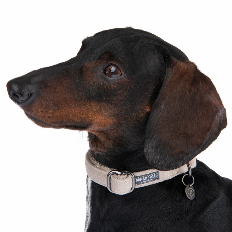 Nomad Tales Blush Necklace, taupe Size XS: 24 - 36 cm neck circumference, W 10 mm