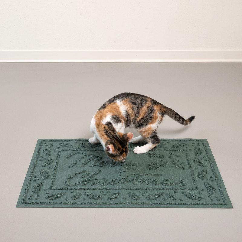 TIAKI Xmas Dirt Control Doormat 1 Mat