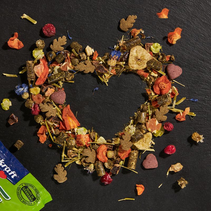 Vitakraft Life Wellness for Guinea Pigs 600g