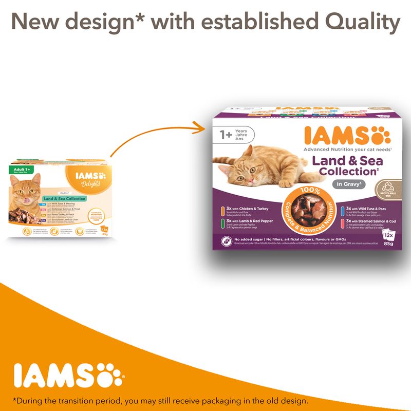 IAMS Advanced Nutrition Kitten Chicken in Sauce Chicken in Gravy (12 x 85g)