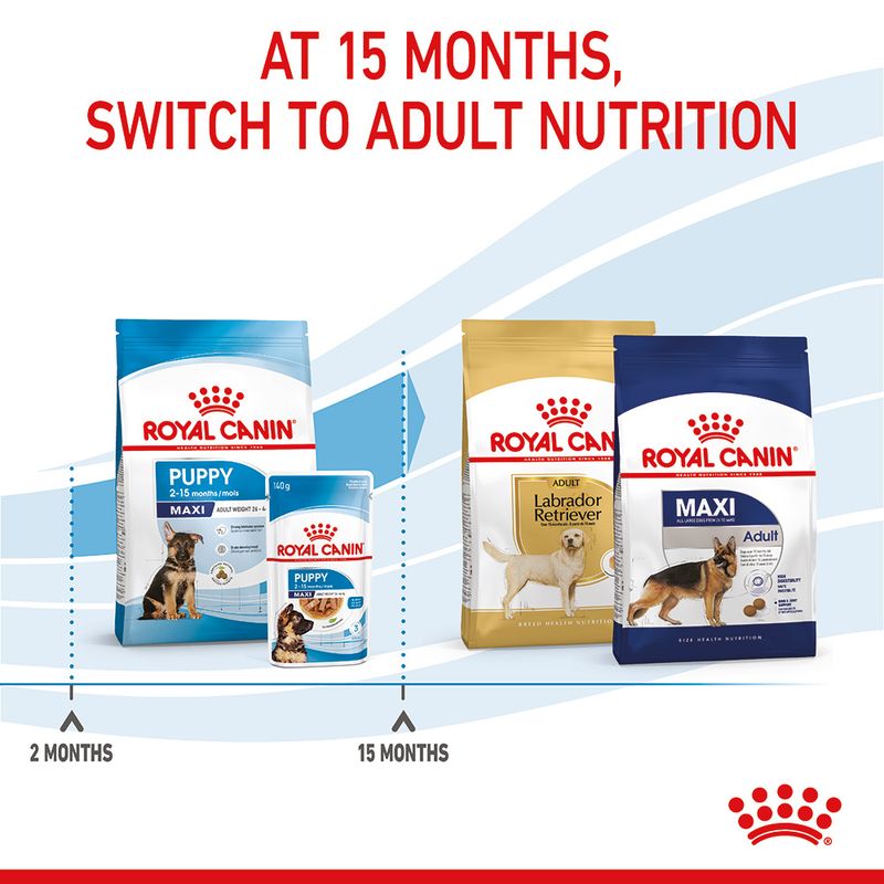 Royal Canin Maxi Puppy 4kg