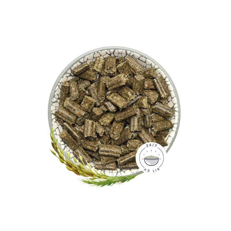 Bunny RabbitDream BASIC 4kg