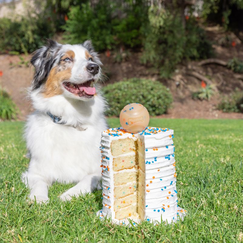 Chuckit! Birthday Fetch Ball 6.5 cm (W)