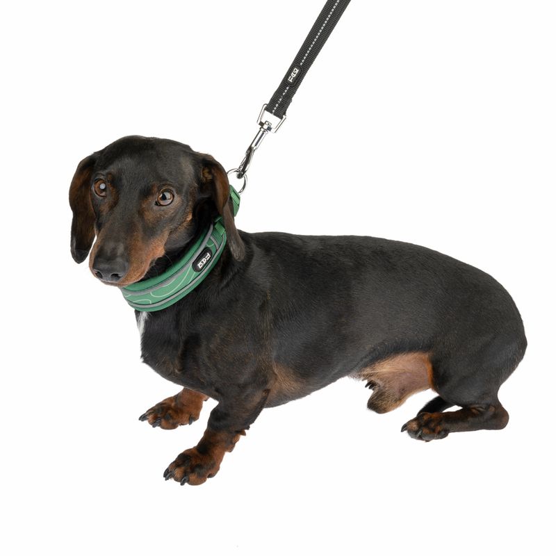 TIAKI Reflective Rubber Dog Leash, black 200 cm long, 20 mm wide