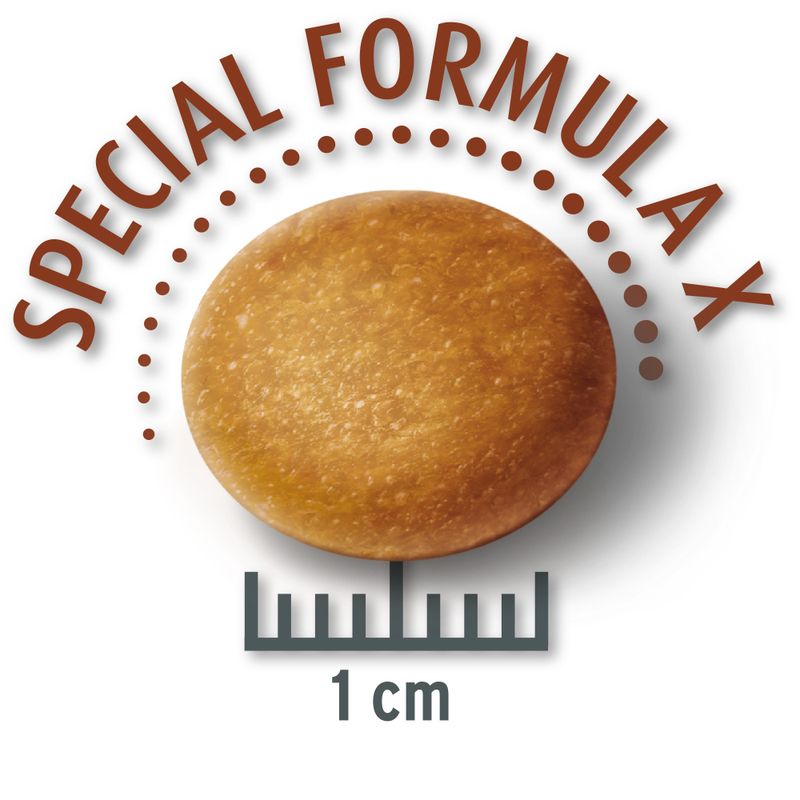 Concept for Life Economy Packs Labrador Sterilised (2 x 12kg)