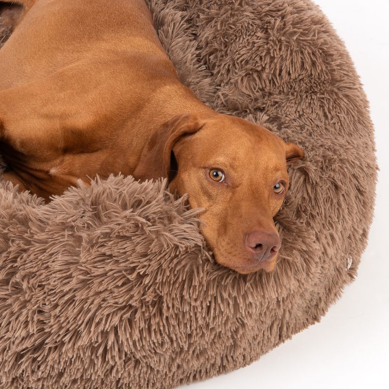 TIAKI No Stress Cuddly Bed - Beige Small: 75 x 25cm (Diameter x H)