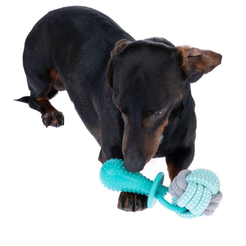 TIAKI Rope Ball Chew Toy with Dummy diameter 7 x (L) 19 cm