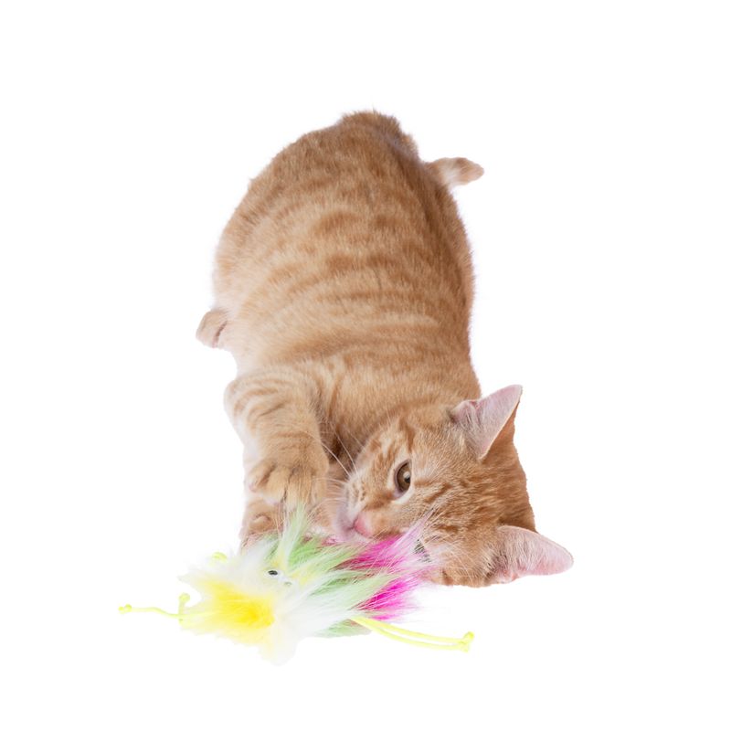 TIAKI Rainbow Monster Cat Toy 1 Toy