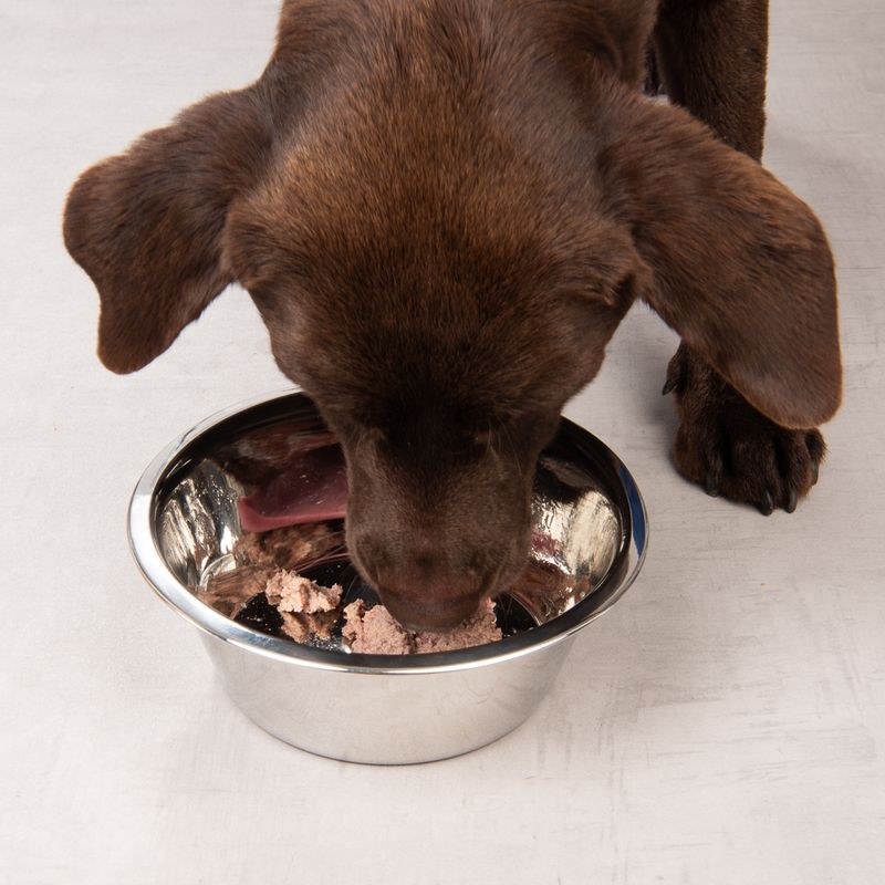 TIAKI Functional Stainless Steel Bowl 240ml (11.5cm diameter)