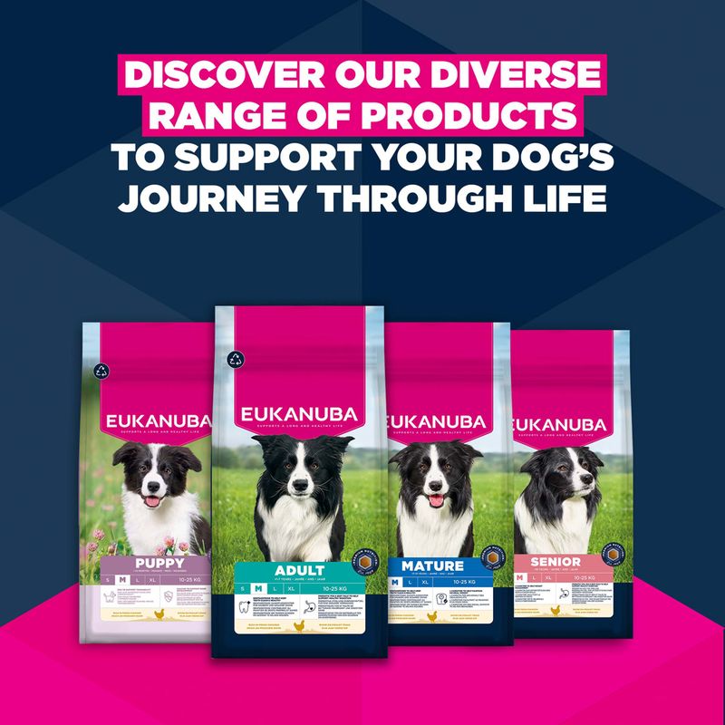 Eukanuba Premium Nutrition Adult Medium Breed Chicken 3kg