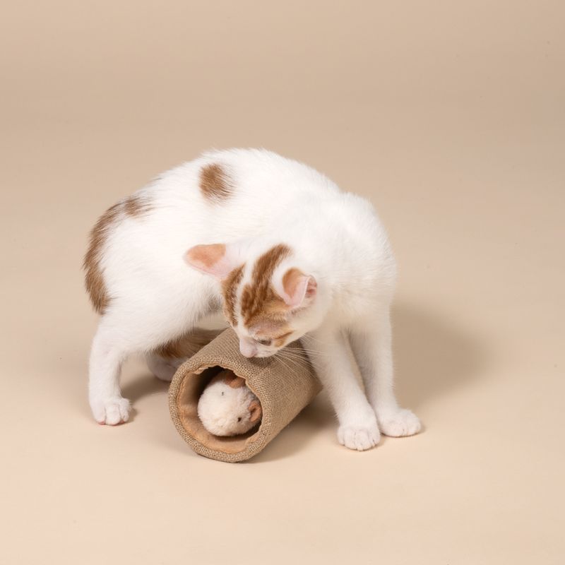 TIAKI Roquefort Tunnel with Mouse Cat Toy 1 Toy