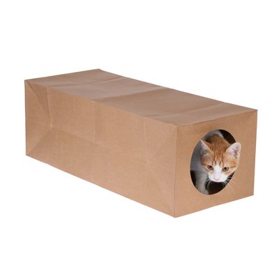 zooplus Basics Paper Cat Tunnel 65 x 27 x 22 cm (L x W x H)