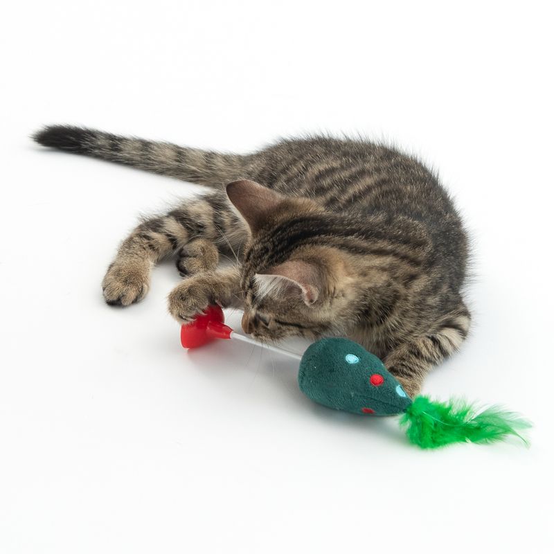 TIAKI Tree Cat Toy 1 Toy