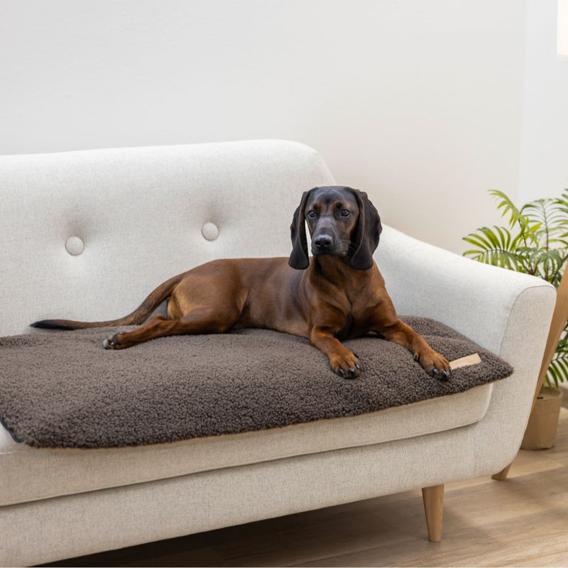 Kerbl Pet Multifunctional Mattress Approx. 72 x 50 x 5cm (L x W x H)