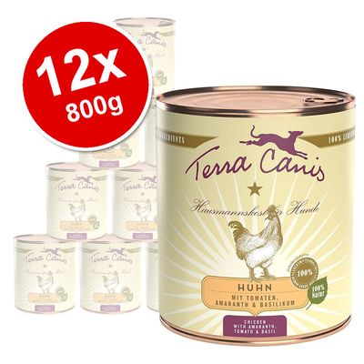 Terra Canis Saver Pack 12 x 800g Lamb with Courgette, Millet & Dill